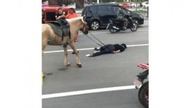 网红骑马爆料视频大全最新,揭秘马背上的精彩瞬间