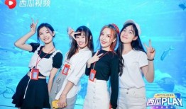 三亚网红爆料视频最新版,揭秘网红打卡地背后的秘密